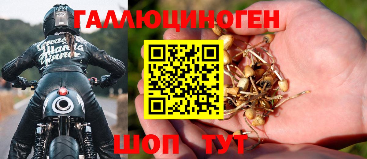 Галлюциногенные грибы GOLDEN TEACHER  Вход с VPN  Галлюциногенные грибы прущие грибы  Самара 